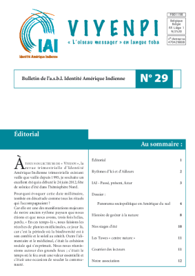 Viyenpi n°29