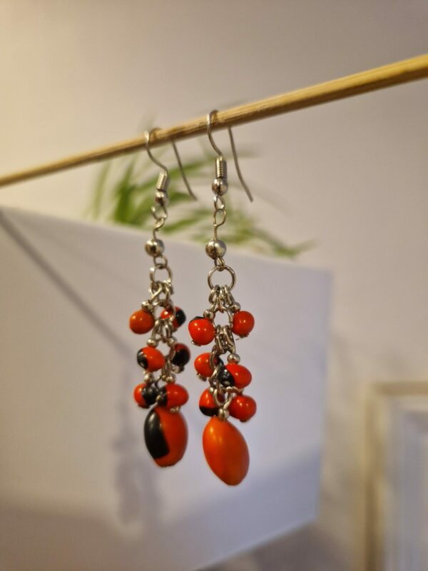 Boucles d'oreilles graines