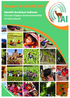 Rapport d’activités 2015