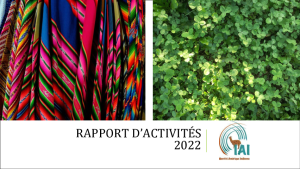 Rapport d’activités 2022